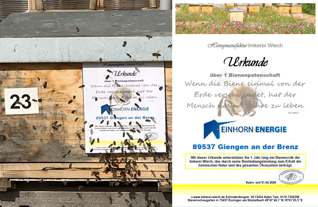 Bienenpatenschaft – GEO Energie Ostalb